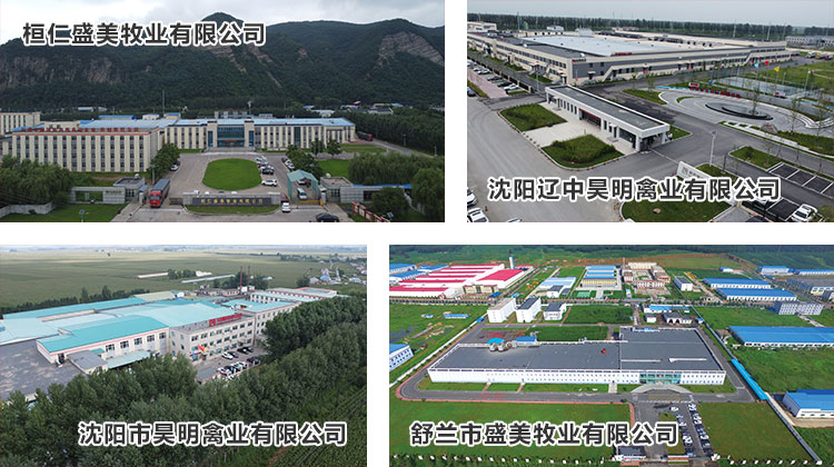 1702104970647563.jpg 屠宰加工01.jpg