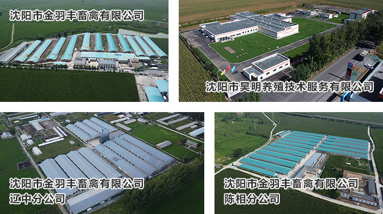 1702105110236970.jpg 種禽飼養孵化01.jpg