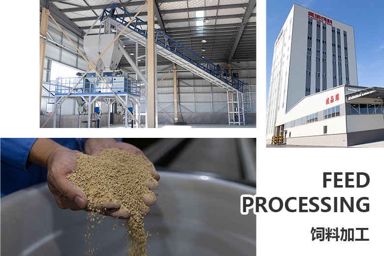 1702105191730506.jpg 飼料加工.jpg